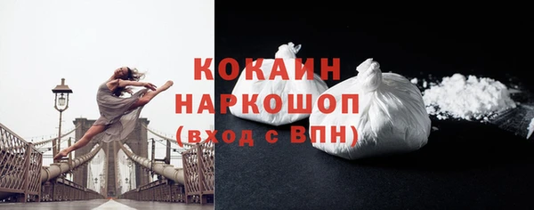 прущие грибы Бородино