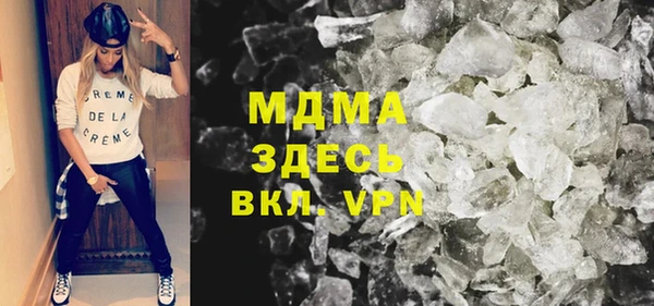 прущие грибы Бородино