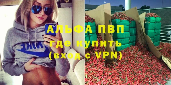 прущие грибы Бородино